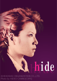 hide Photo ver.