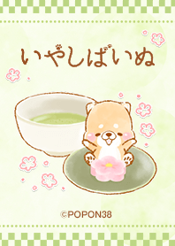 iyashibainu Wagashi